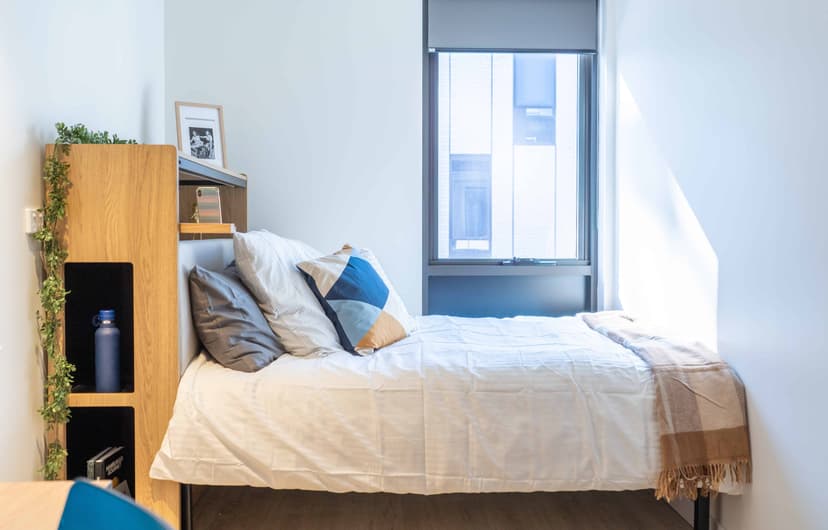 The Switch Kensington Sydney, Sydney  image 1