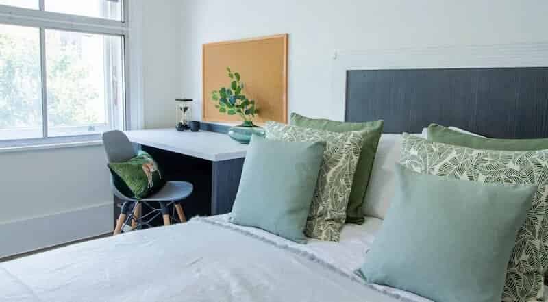 Standard Plus Studio