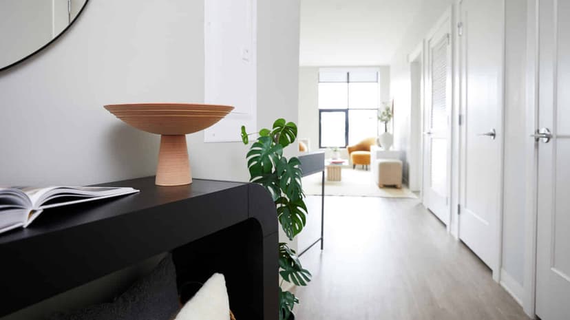 South Standard Apartments, Boston image 32