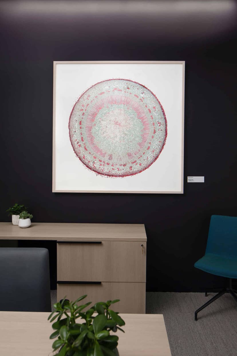 Bower, Boston image 39