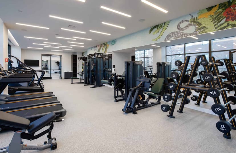 Bower, Boston image 72