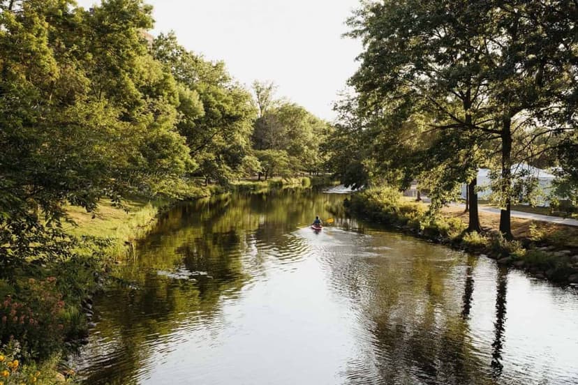 Bower, Boston image 11