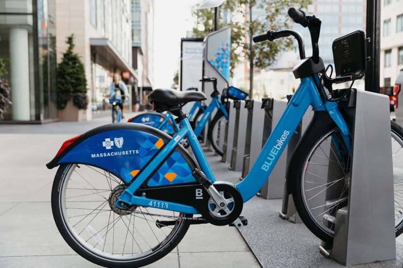 Bower, Boston image 20