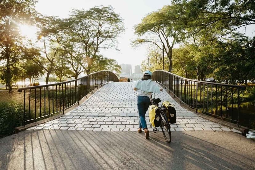 Bower, Boston image 15