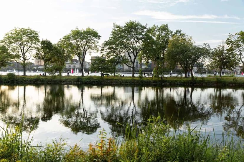 Bower, Boston image 32