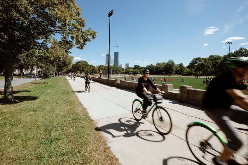 Bower, Boston view 7