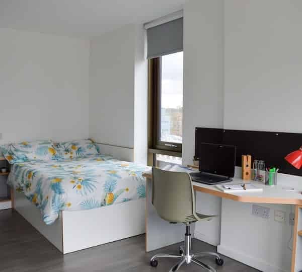 Ensuite Gold