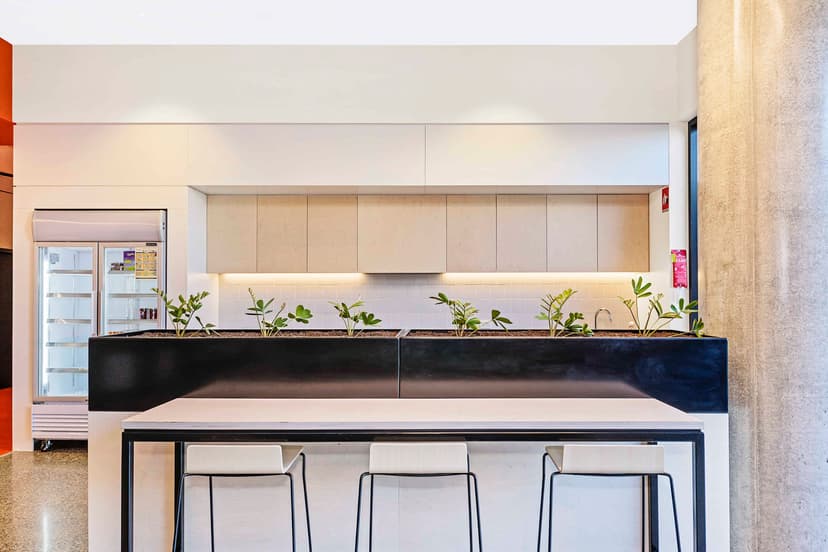 Scape Waymouth, Adelaide image 115