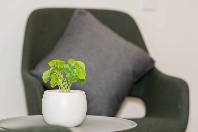 Scape Waymouth, Adelaide image 68