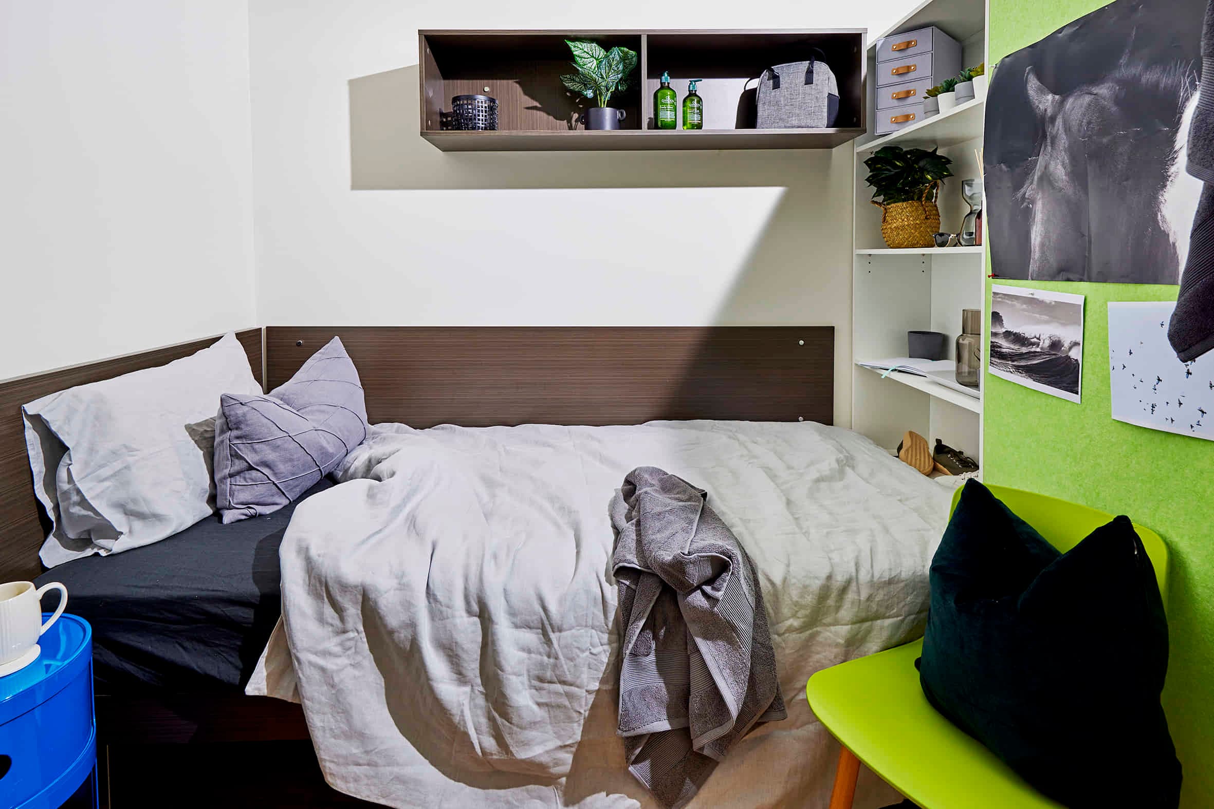 Ultra Twin, King Single Bed
