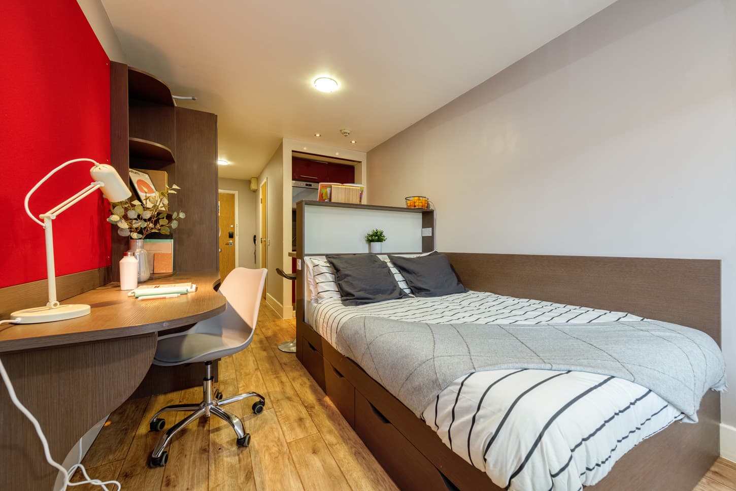 Standard Plus Studio