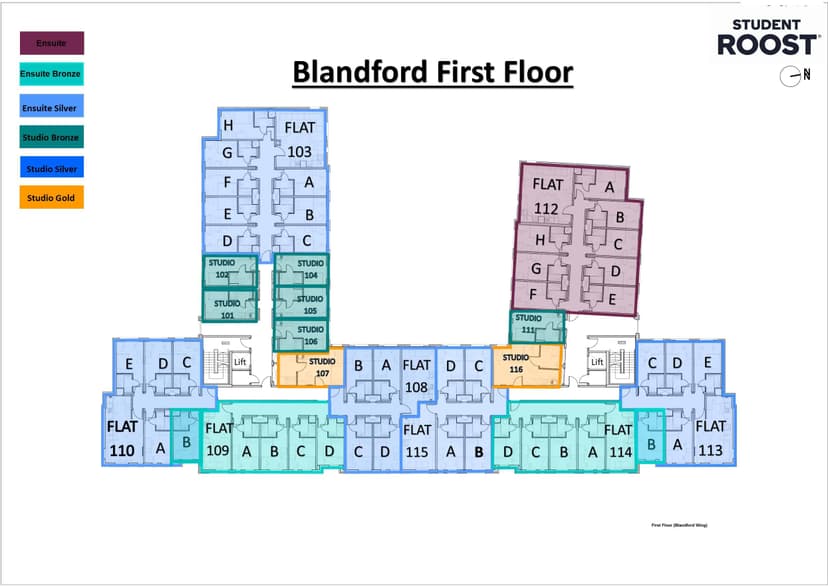 Newcastle 1, Newcastle image 23