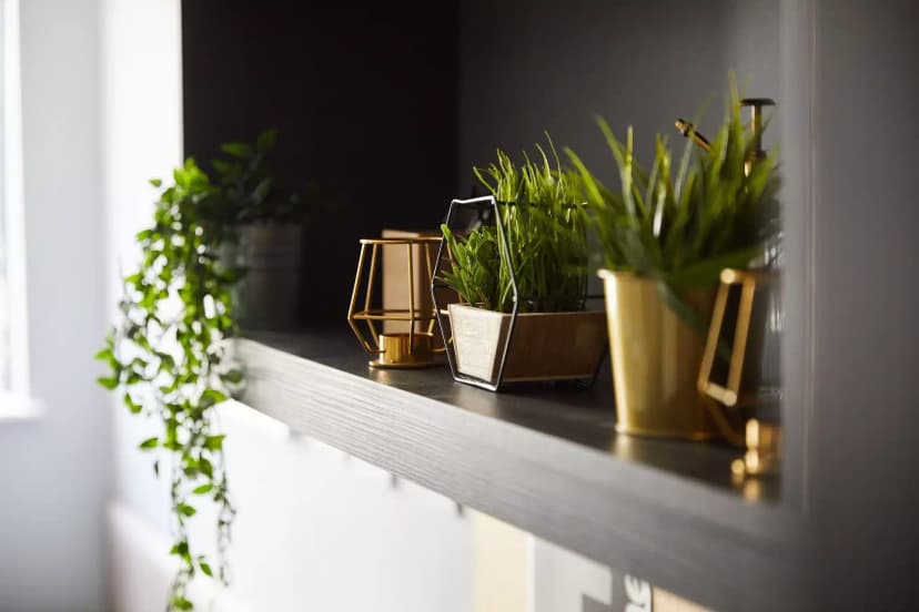 Collegiate Plummer House, Newcastle image 17