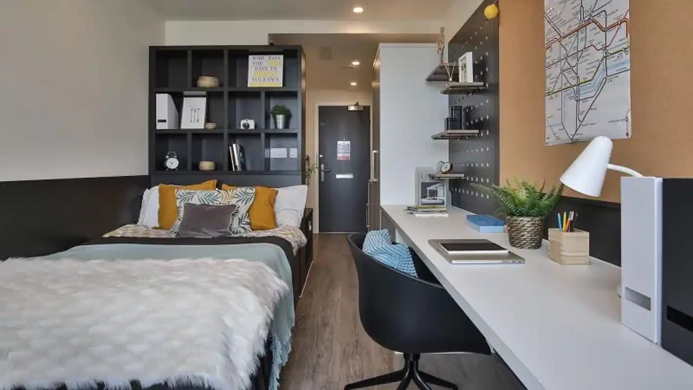 Silver Studio Plus