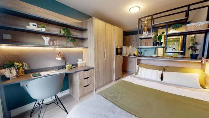 Bronze Studio Plus