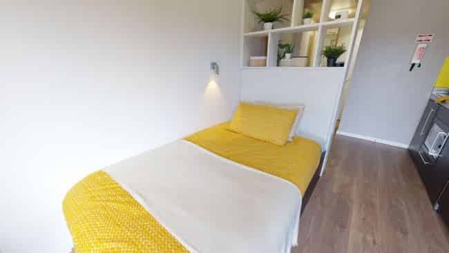 Gold Studio