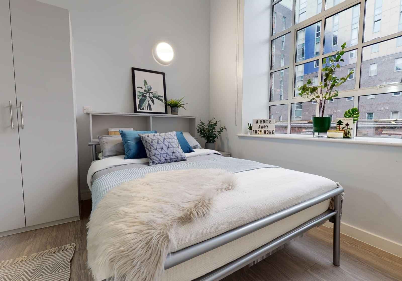 Platinum Studio Plus