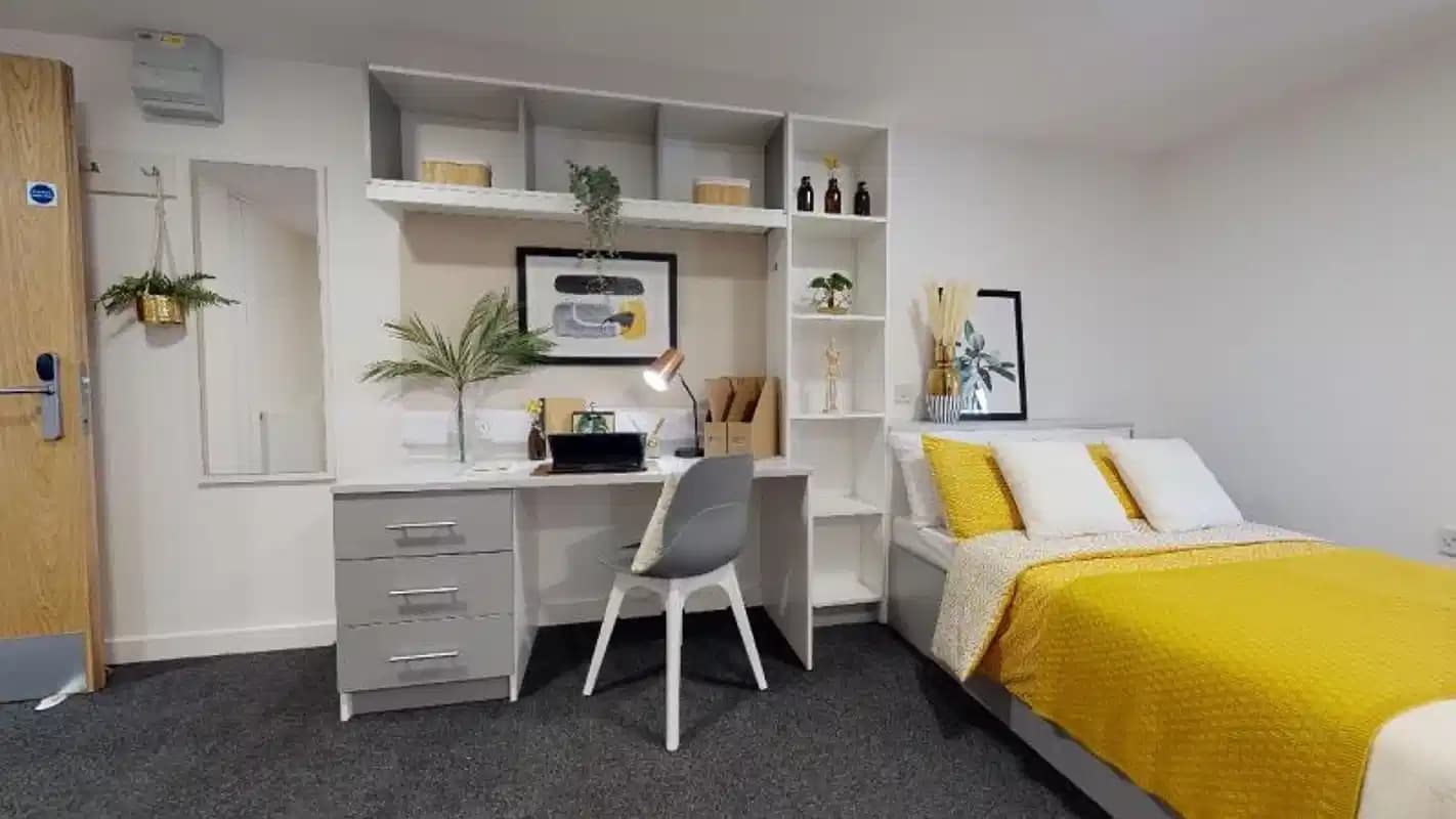 Gold Studio Plus