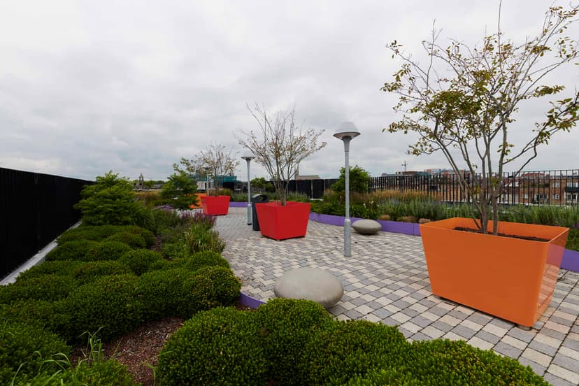 Dorset Point, Dublin image 19