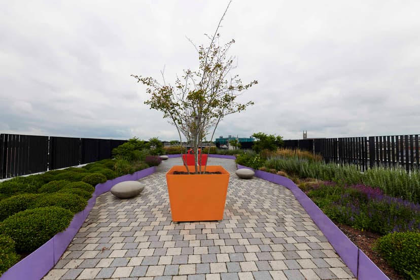 Dorset Point, Dublin image 18