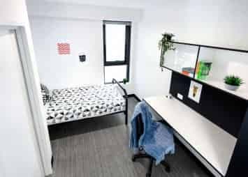 Studio Accessible Apartment