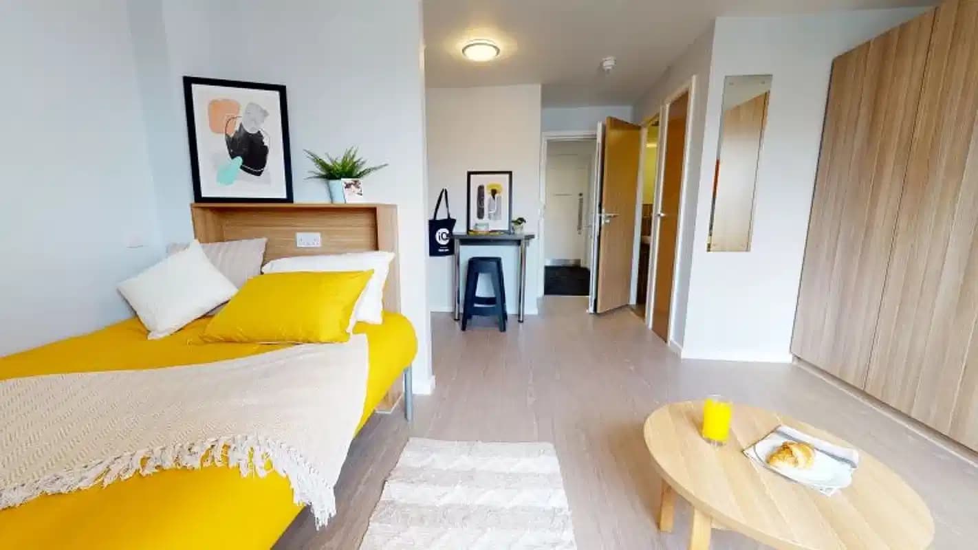 Gold Studio Plus