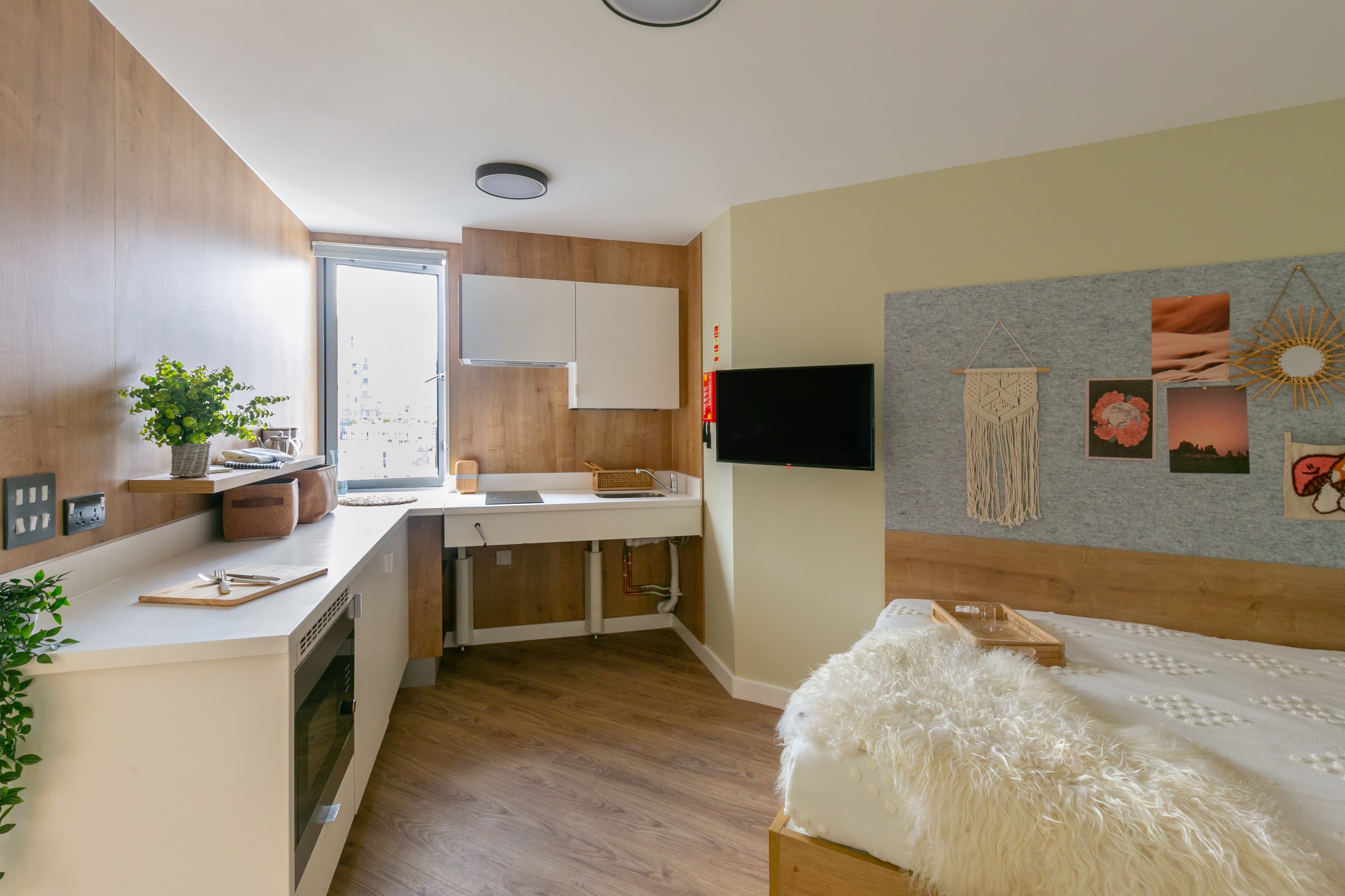 Extra Large Double Studio