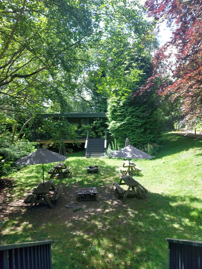 Beech Gardens, Birmingham image 19