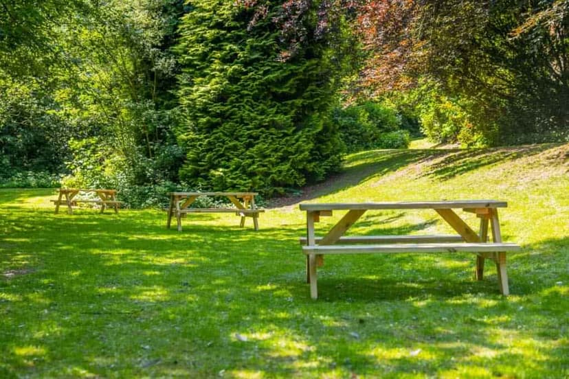 Beech Gardens, Birmingham image 25