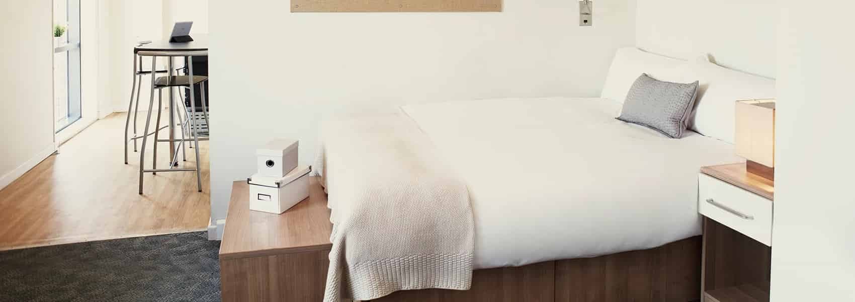 Gold Studio Lower Level Standard View