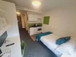 Studio Bronze (New Style)