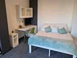 Studio Gold (New Style)