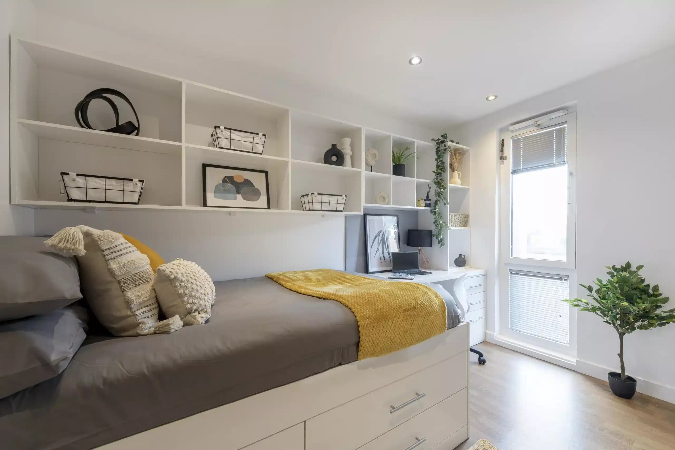 Premier Ensuite in a 7 Bed Apartment