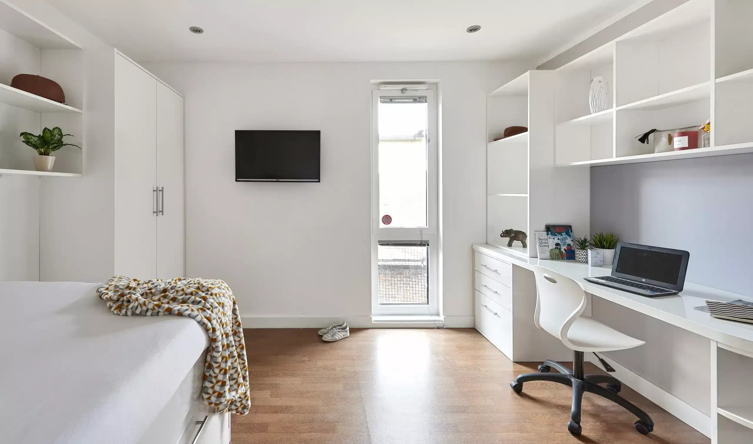 Premier Ensuite Plus in a 13 bed apartment