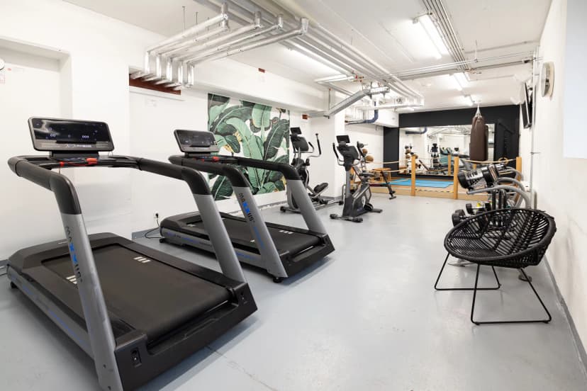 Yugo Elementum, Darmstadt image 13