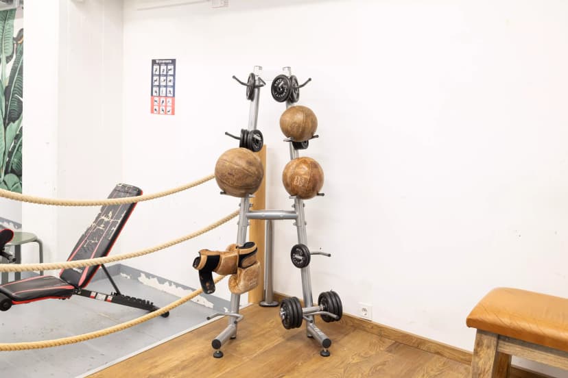 Yugo Elementum, Darmstadt image 17