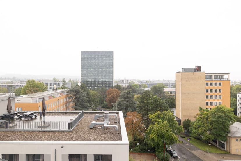 Yugo Elementum, Darmstadt image 8