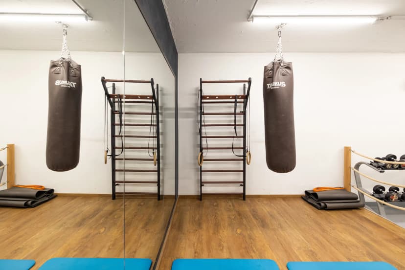 Yugo Elementum, Darmstadt view 5