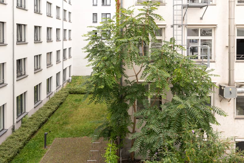 Yugo Urbanum, Frankfurt image 16