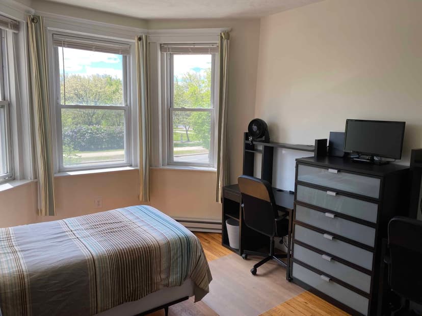 85 Park Drive, Boston image 9