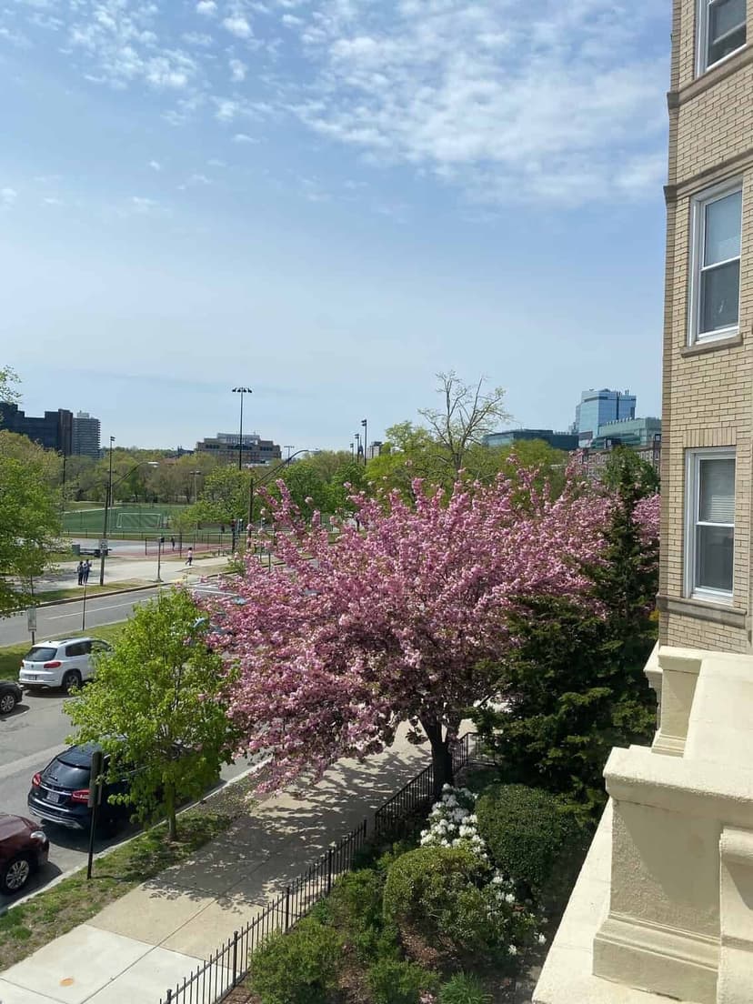 85 Park Drive, Boston view 7