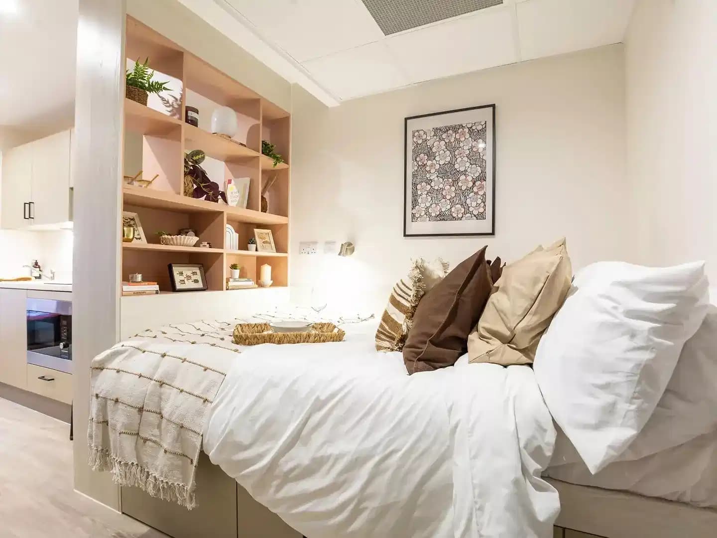 Deluxe Studio Plus (Floors 1-9)