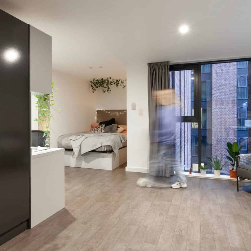 True Sky Studio Plus