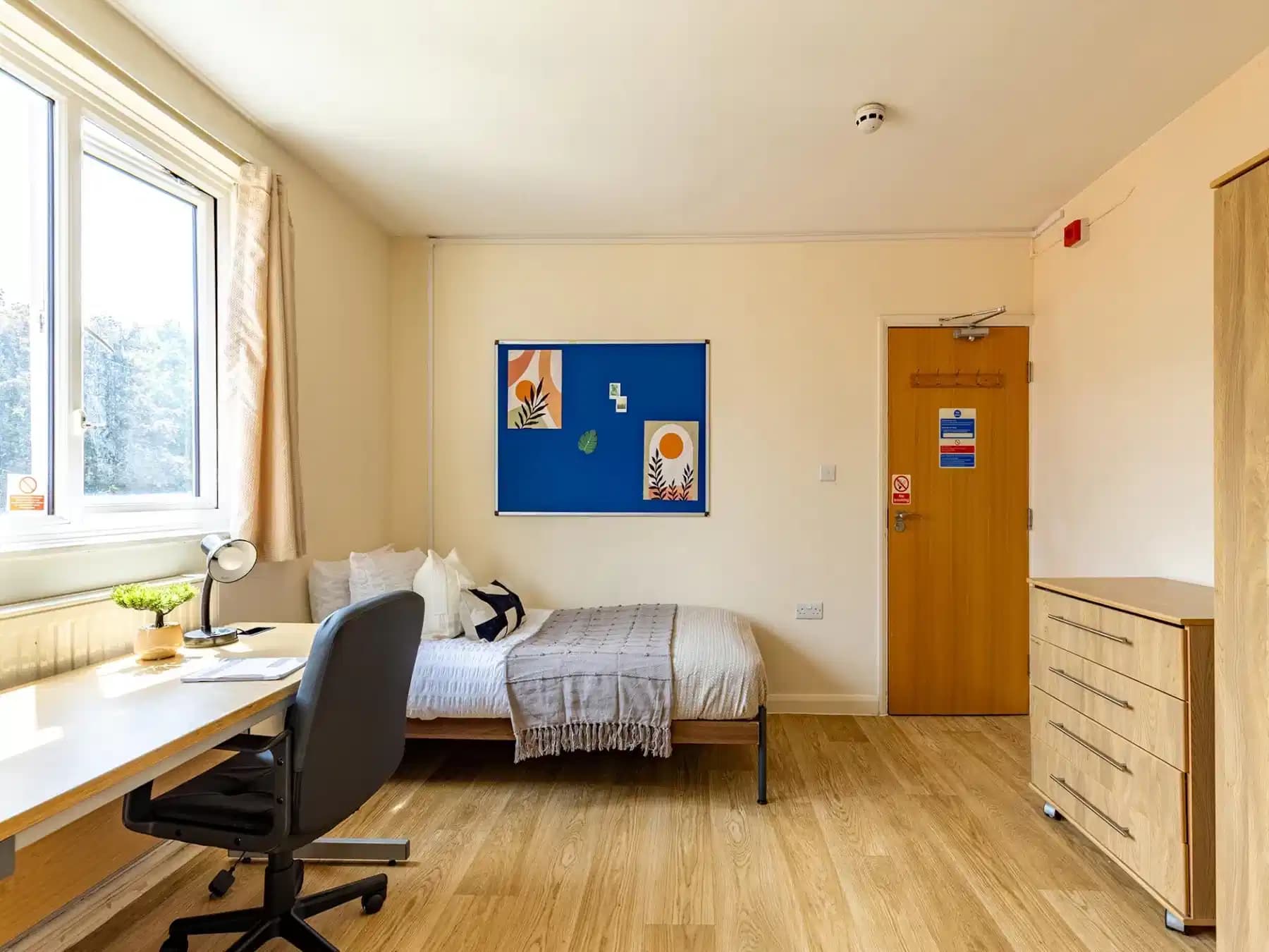 Large Studio