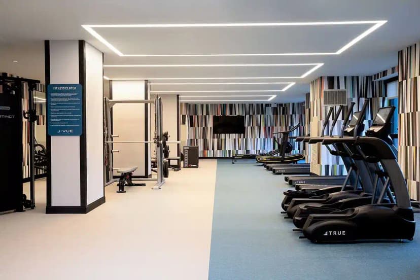 J Vue at the LMA, Boston image 41