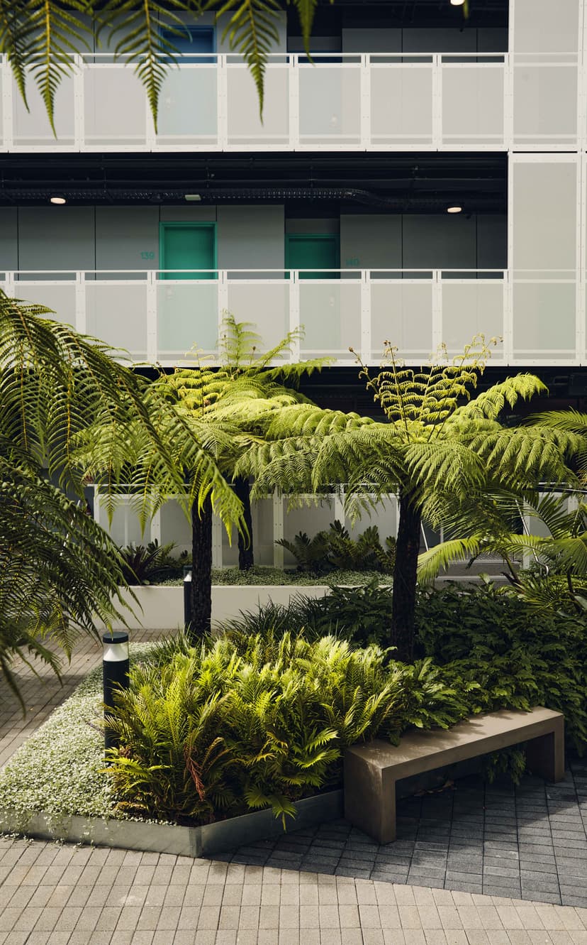 Scape Darlington, Sydney view 5