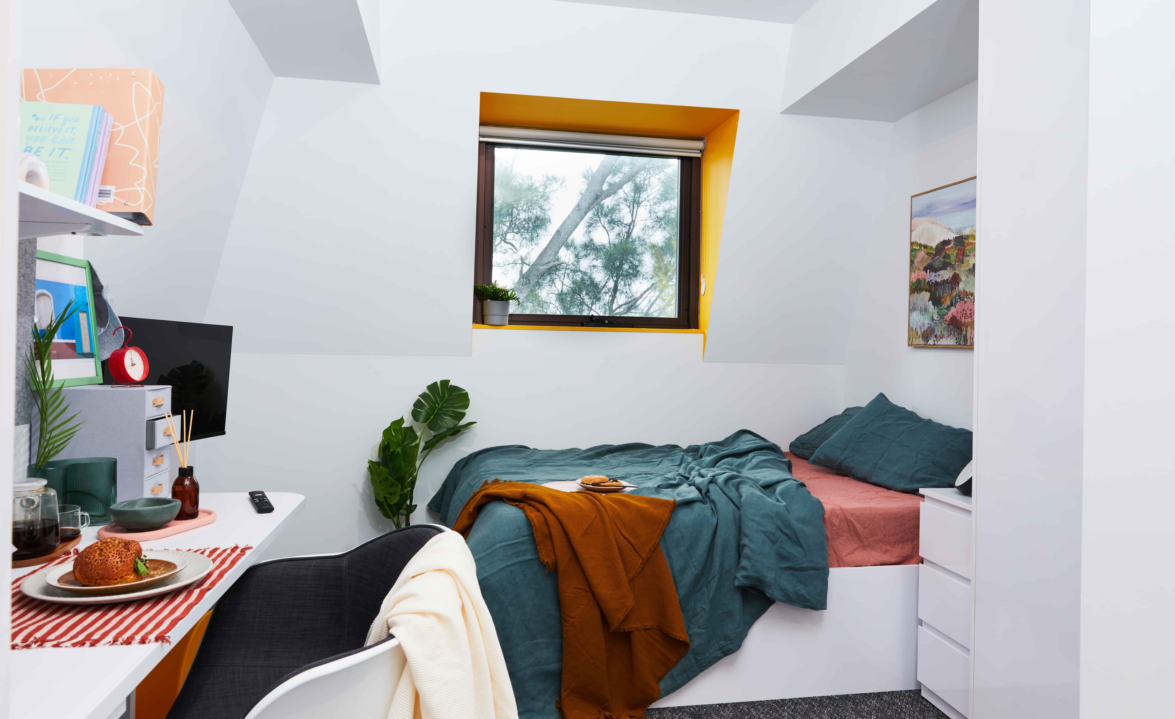 Signature Plus Studio