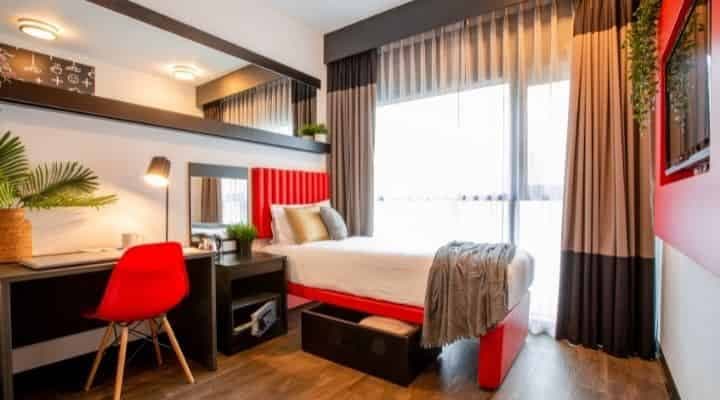 Large Accessible Room (Single bed)