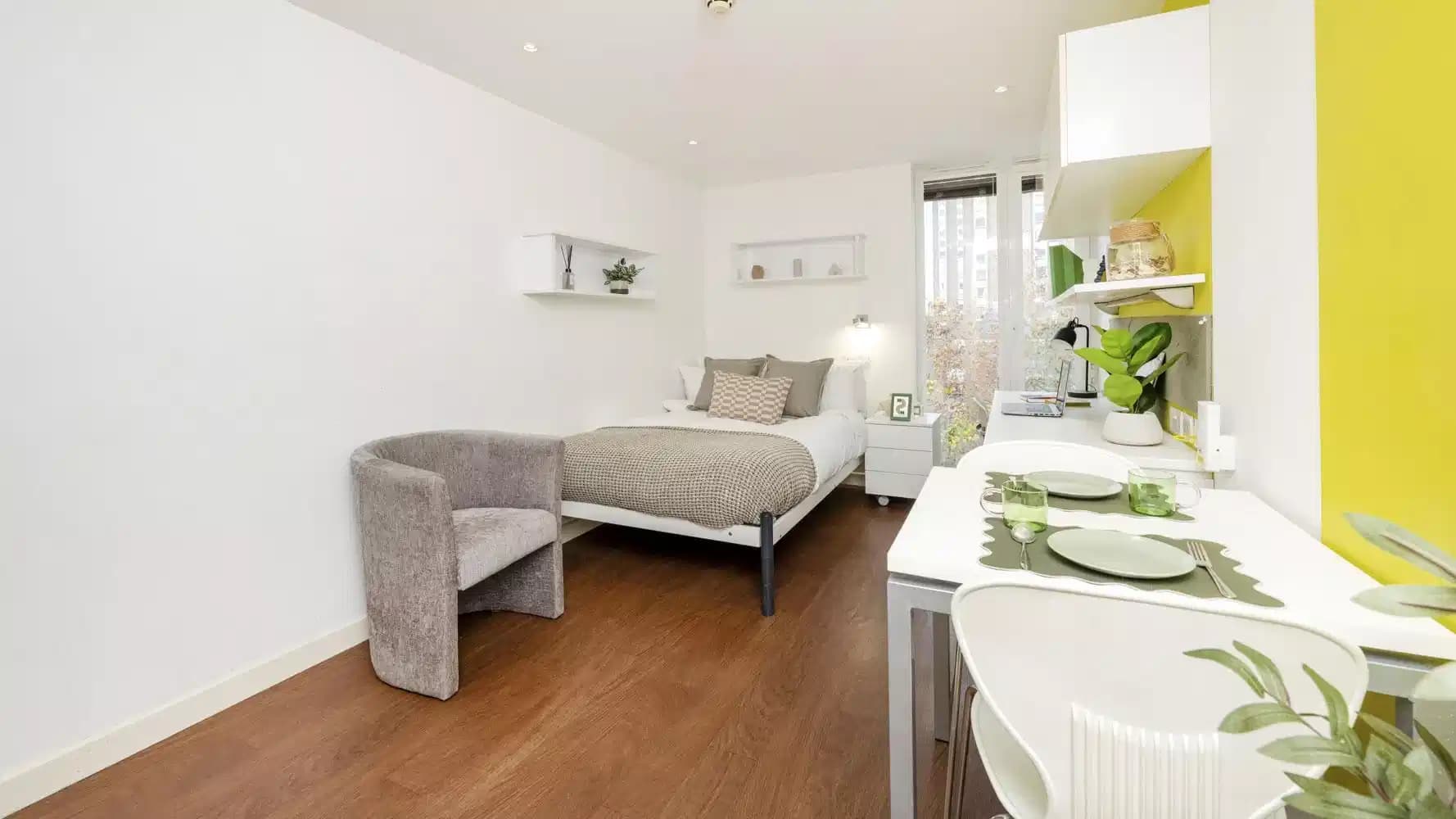 Standard Studio Bronze