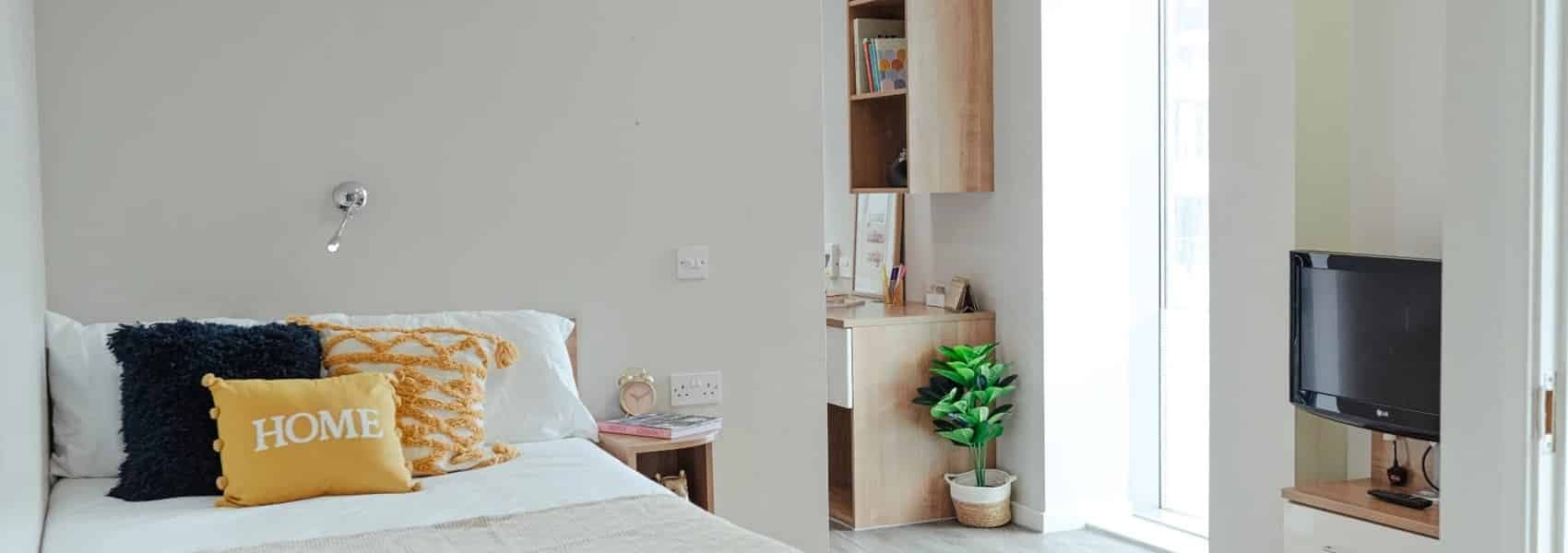 Platinum Studio Standard View